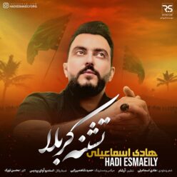 دانلود آهنگ هادی اسماعیلی تشنه کربلا